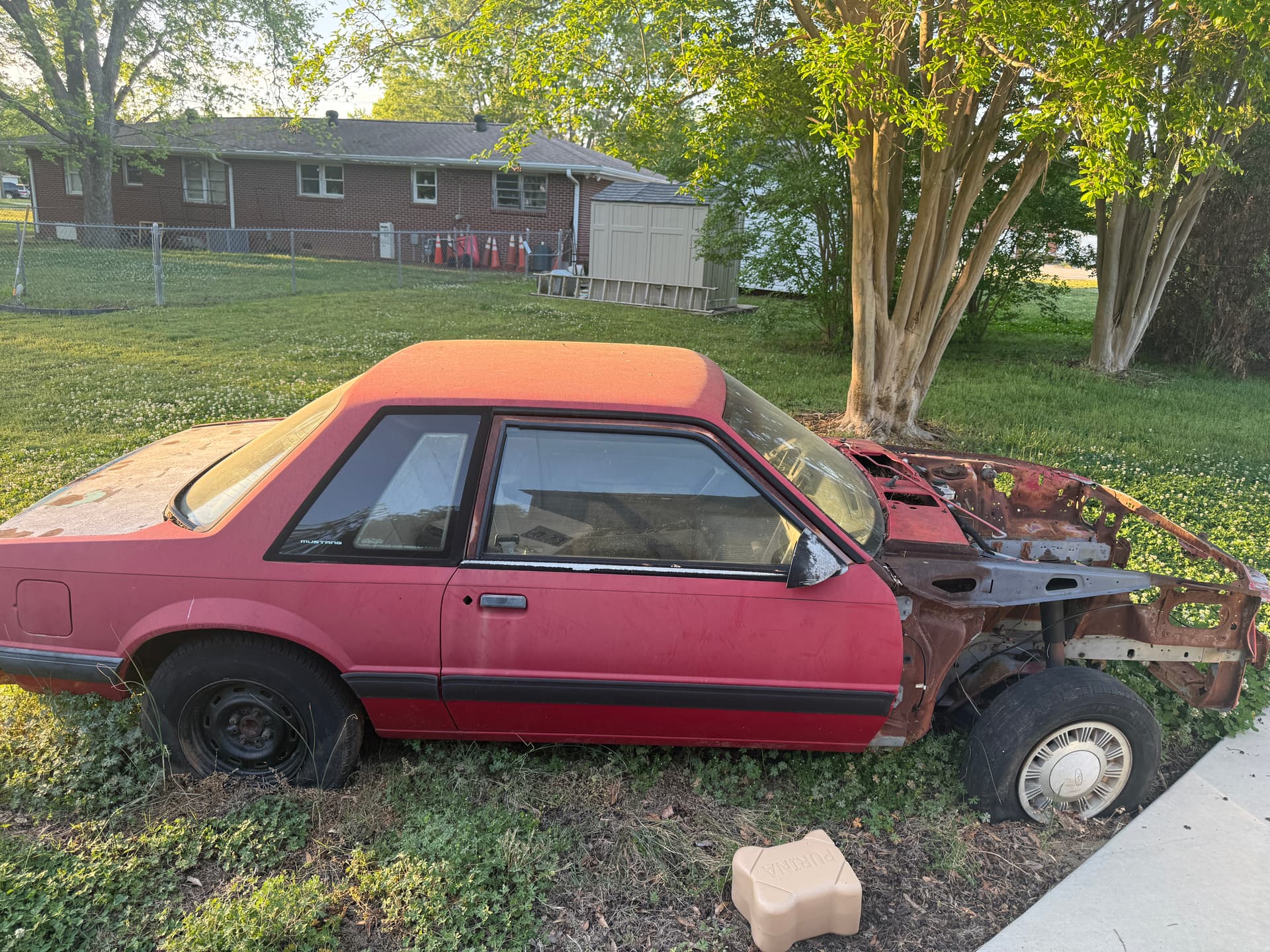 1988 and 1990 Mustang coupe’s